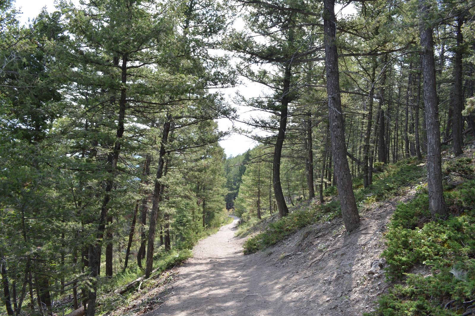 1906 Trail at Mount Helena City Park, Helena, Montana